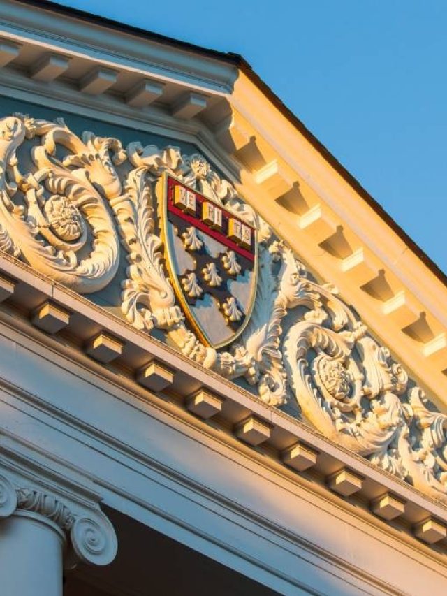 O curso de Harvard ministrado por professores de IA